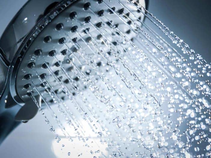 shower head